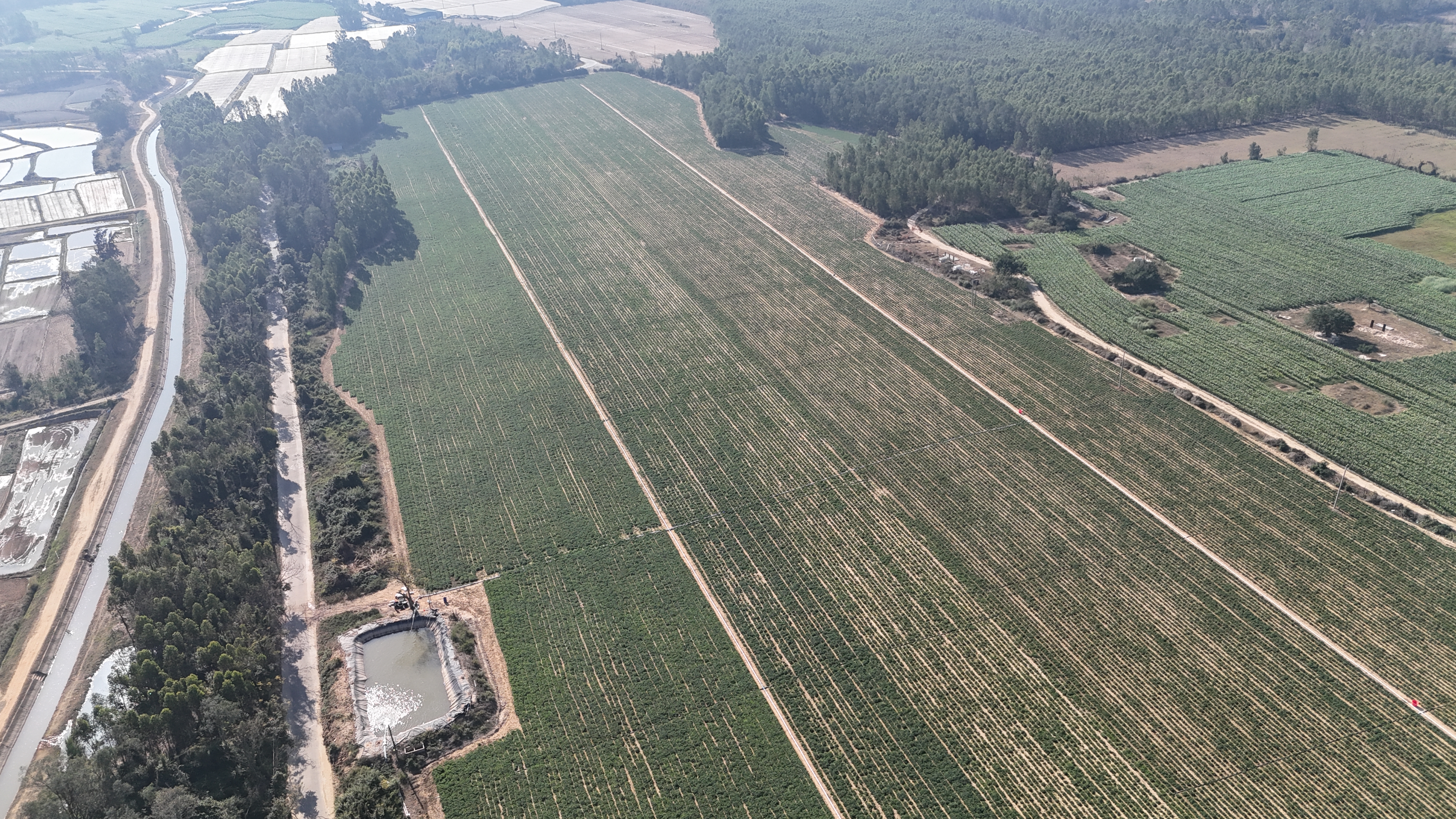 DJI_20250123103909_0018_D.jpg